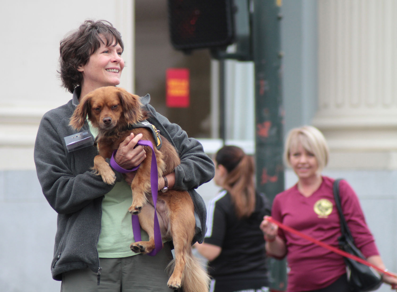 Walk for Animals 2013